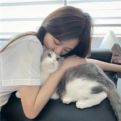 派特和麦特：再度出击 封面